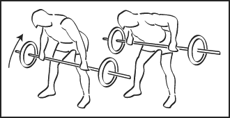 Rowing buste penché - Musculation.tn