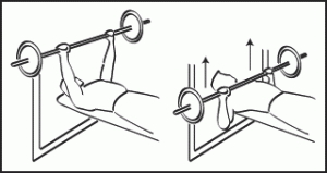 développé couché