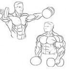 Lateral dumbell raise