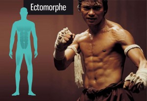 Brûleurs de graisse pour ectomorphe