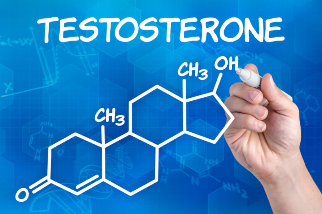 testosterone musculation